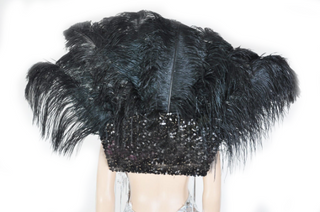 Black Open Majestic Style Ostrich Feather backpiece