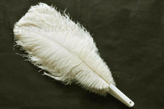 beige 2 layers Ostrich Feather Fan 30"x 54"