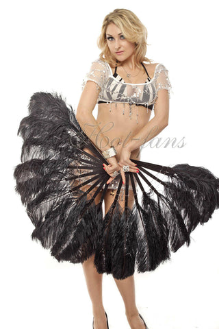 A pair Black Single layer Feather fan 24"x 41"