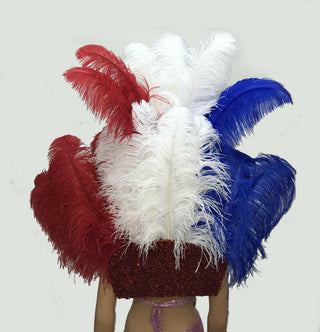 Blue & White & Red Open Majestic Style Ostrich Feather backpiece