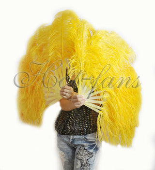 A pair Gold yellow Single layer Feather fan 24"x 41"