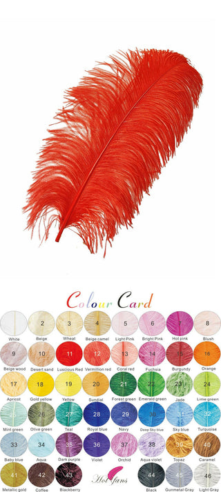 Ostrich Feathers Wing Plumes 21"-23"