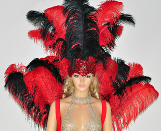 Red & Black Ostrich Feather Open Face Headdress & backpiece Set