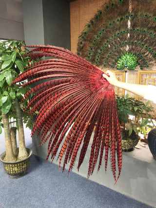 Red Tall Pheasant Feather Fan 37"x 69"