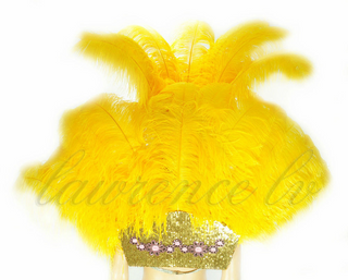 Golden yellow Ostrich Feather Open Face Headdress & backpiece Set