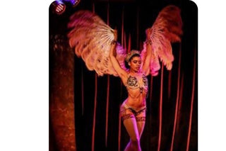 Feather Fans for Performance: The Ultimate Guide to Elevate Your Stage Presence