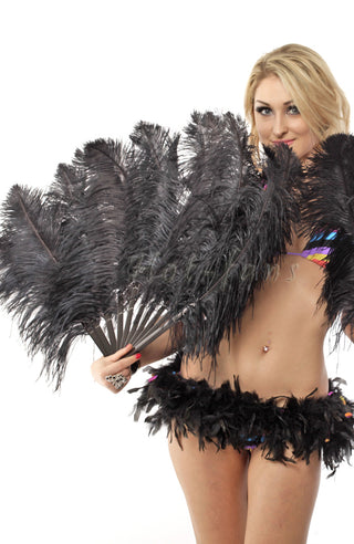 Single layer Ostrich feathers fan