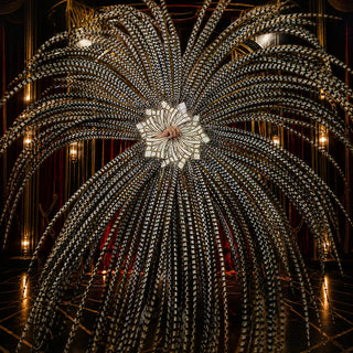 Grand Performance Huge Natural Ring-necked Pheasant Tail Feather Fan