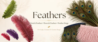 Colorful ostrich feathers in multiple sizes for crafts, costumes, DIY projects, and feather fan making