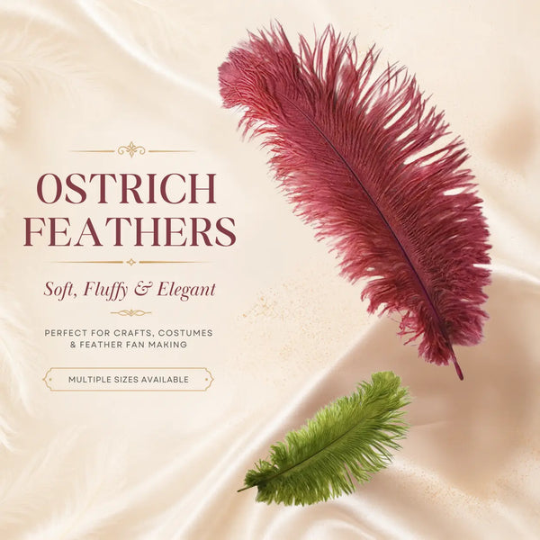 Ostrich Feathers