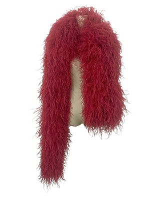 Couleur au choix personnalisée Boa en plumes d'autruche 30 plis