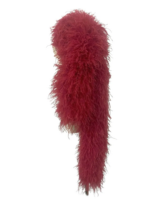 Couleur au choix personnalisée Boa en plumes d'autruche 30 plis