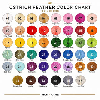 Extra Large Ostrich Wing Plume Feathers 70–75 cm (27.5"–29.5")