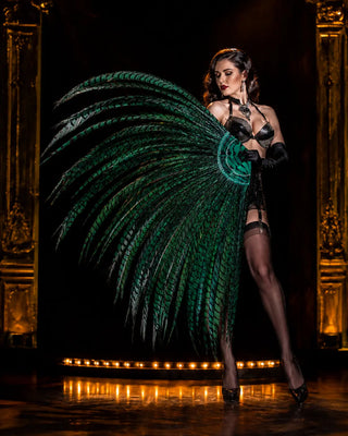Lady Amherst pheasant fan with natural striped feather pattern and elegant tall shape