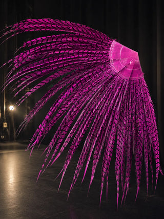 Luxury handmade pheasant tail feather fan for theater performance and editorial photography