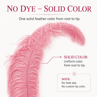Custom Mix Color 4 Layers Ostrich Feather Fan 34" x 65" – Luxury Full Stage Performance Fan