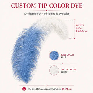 Custom Tip Color Dye Ostrich Feather Fan