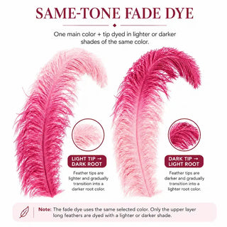 Same-Tone Fade Dye Ostrich Feather Fan