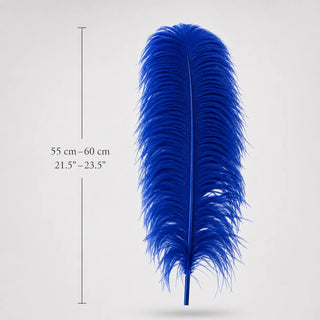 Naturally curved royal blue ostrich wing plume feather 55–60 cm