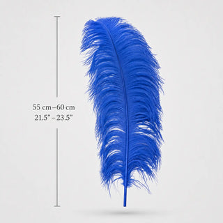 Royal blue ostrich wing plume feather 55–60 cm with full natural shape
