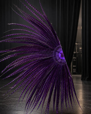 Single Lady Amherst pheasant tail fan with 5 Acrylic PMMA staves and full 180 degree opening