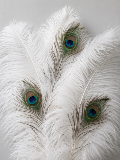 Feathers