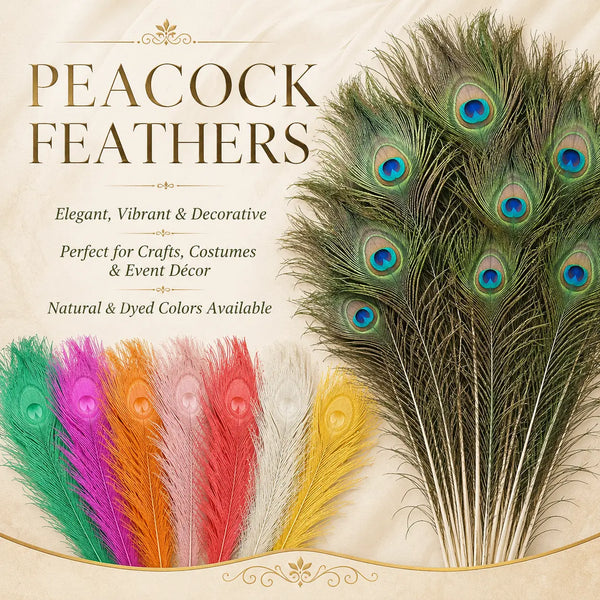 Peacock Feathers
