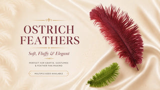Ostrich feathers collection banner with soft burgundy and green ostrich plumes for crafts, costumes, decor, and feather fan making