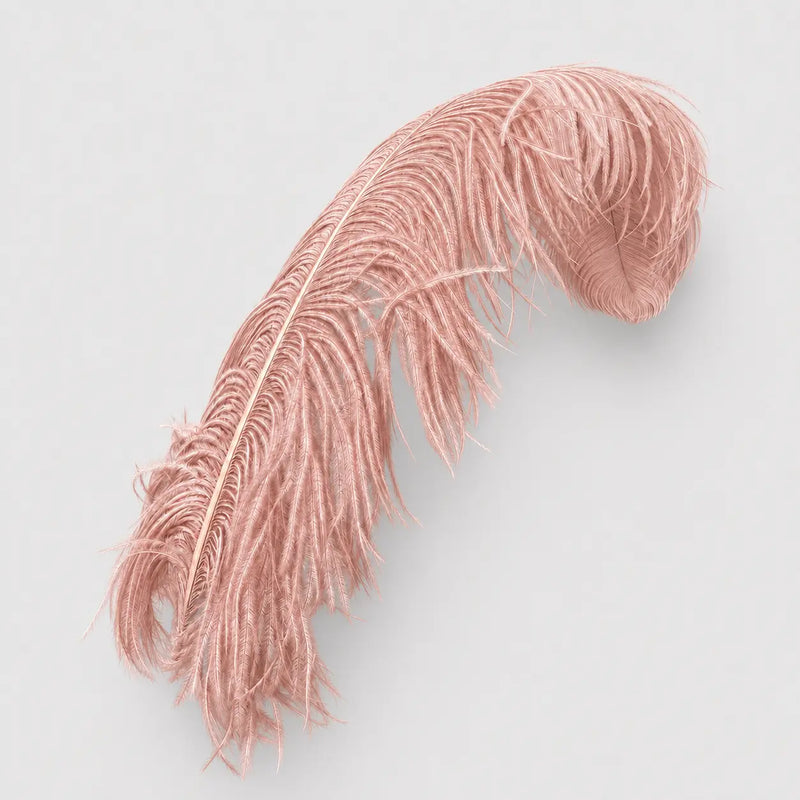 Natural Ostrich Feather Plumes