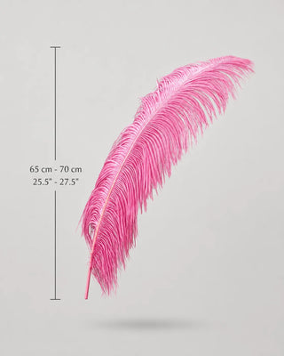 Piume di struzzo, piume delle ali 21"-23"