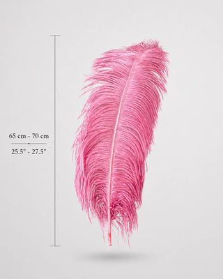 Piume di struzzo, piume delle ali 21"-23"