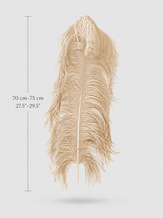 Extra Large Ostrich Wing Plume Feathers 70–75 cm (27.5"–29.5")