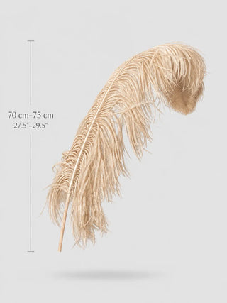 Extra Large Ostrich Wing Plume Feathers 70–75 cm (27.5"–29.5")