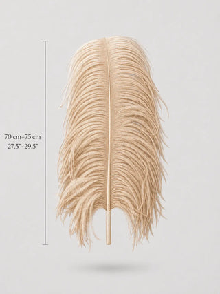 Extra Large Ostrich Wing Plume Feathers 70–75 cm (27.5"–29.5")