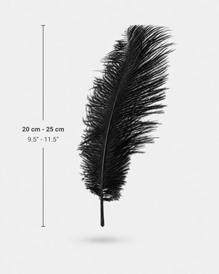 Small Ostrich Drab Feather Plumes 9.5–11.5 in (25–30 cm)