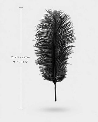 Small Ostrich Drab Feather Plumes 9.5–11.5 in (25–30 cm)