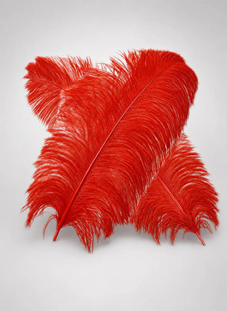 Extra Large Ostrich Wing Plume Feathers 70–75 cm (27.5"–29.5")