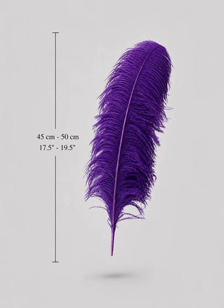 Medium Ostrich Feather Plumes 17.5–19.5 in (45–50 cm)