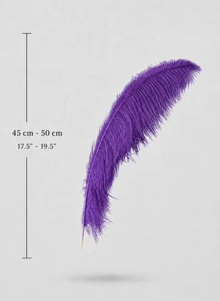 Medium Ostrich Feather Plumes 17.5–19.5 in (45–50 cm)