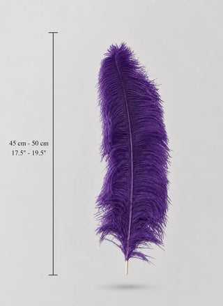 Medium Ostrich Feather Plumes 17.5–19.5 in (45–50 cm)