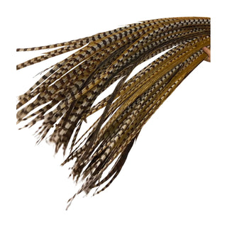 Grand Performance Huge venery Pheasant Tails - Natural Pheasant Feather Fan