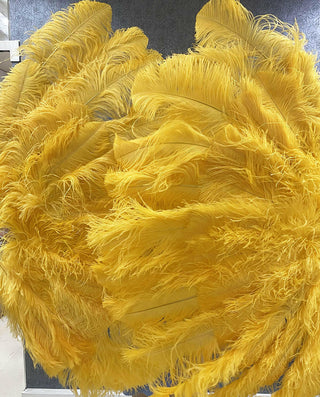 Éventail en plumes d'autruche jaune doré XL 2 couches 34"x 60"
