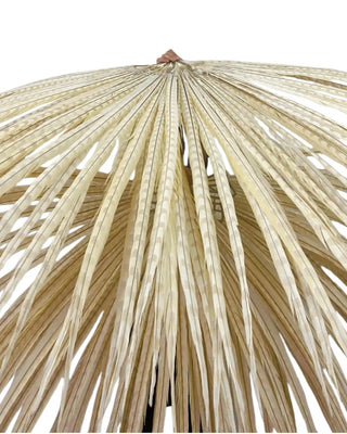 Burlesque performance feather fan – beige pheasant feathers