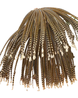 Grand Performance Huge venery Pheasant Tails - Natural Pheasant Feather Fan