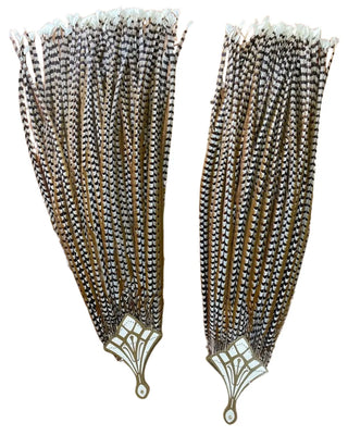 Grand Performance Huge venery Pheasant Tails - Natural Pheasant Feather Fan