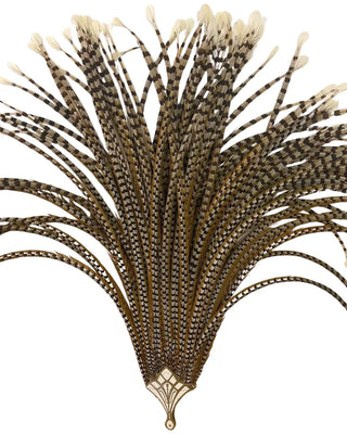 Grand Performance Huge venery Pheasant Tails - Natural Pheasant Feather Fan