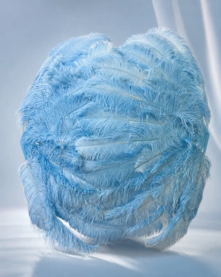 XL 2 Layers Ostrich Feather Fan 12 Staves 34" x 60" | Advanced Stage Look