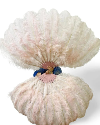 Abanico de plumas de avestruz ruborizado de 2 capas 30"incógnita 54"