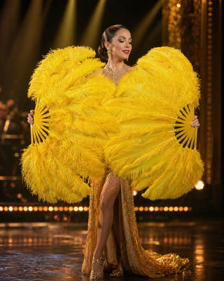 Single Layer Ostrich Fan 14 Staves 180 Degree 25" x 50" | Wider Beginner Stage Look