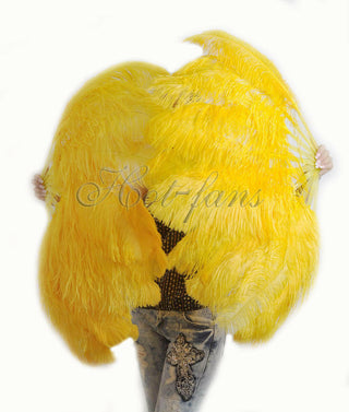 Une paire d'éventails à plumes monocouche jaune doré 24 "x 41"